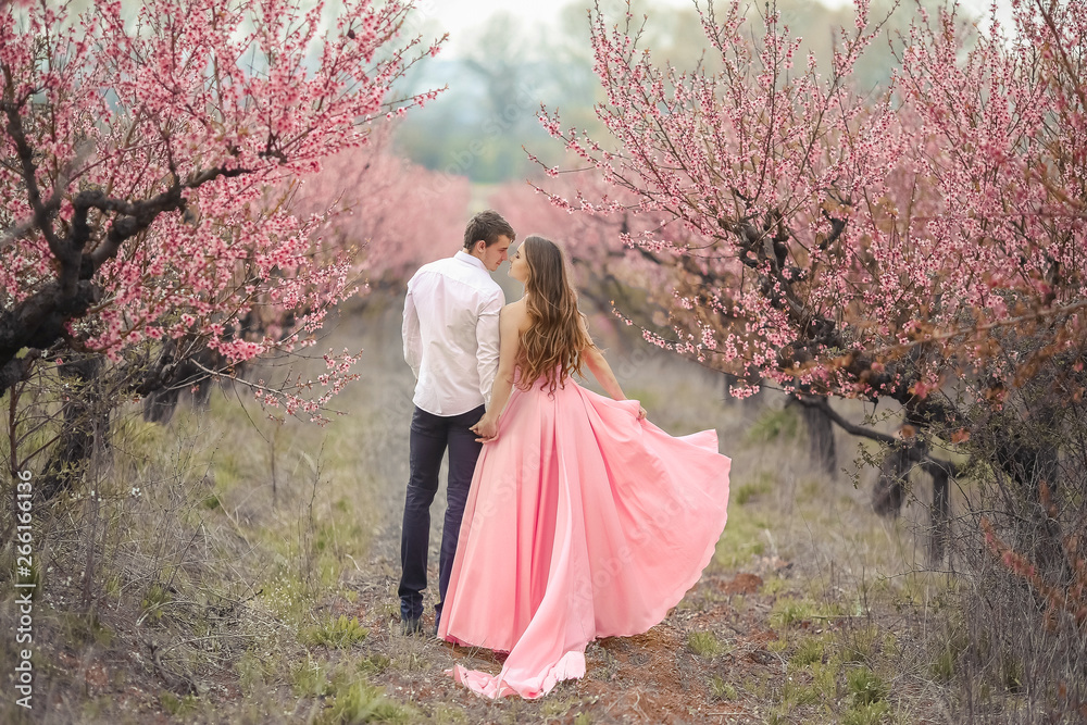 A bridegroom in a blooming garden. Woman in a long pink dress. A bridegroom in a blooming garden. Woman in a long pink dress.