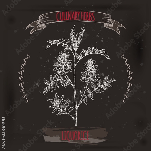 Glycyrrhiza glabra aka liquorice sketch on black. Culinary herbs series. photo