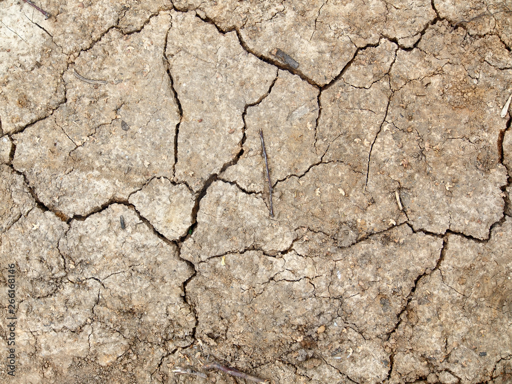 Fototapeta premium cracked clay texture