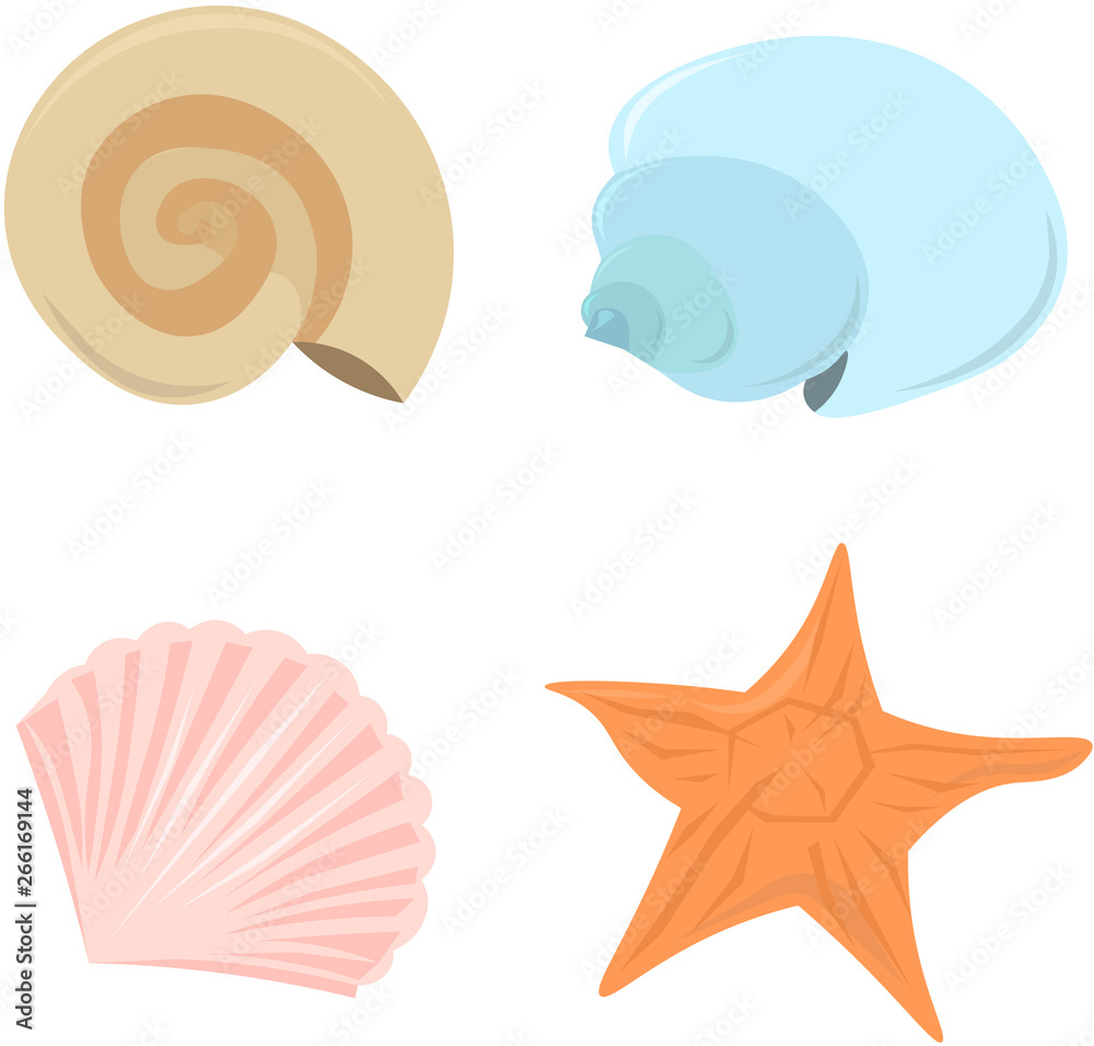 Set of seashells and starfish. Elements of summer, beach design. Set of seashells and starfish. Elements of summer, beach design.