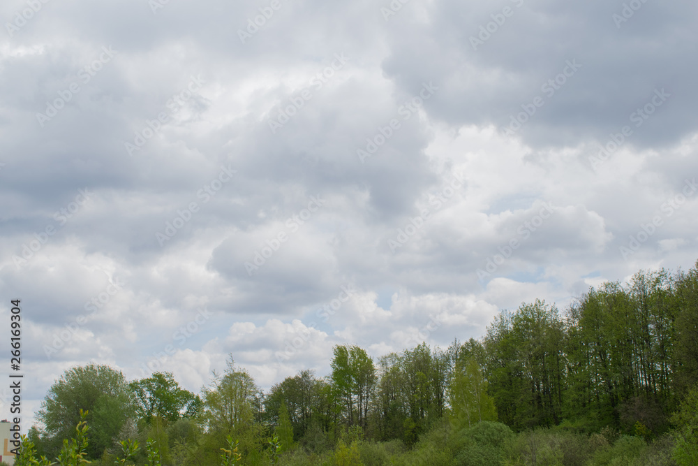 spring landscape river forest trees against a blue sky spring landscape river forest trees against a blue sky