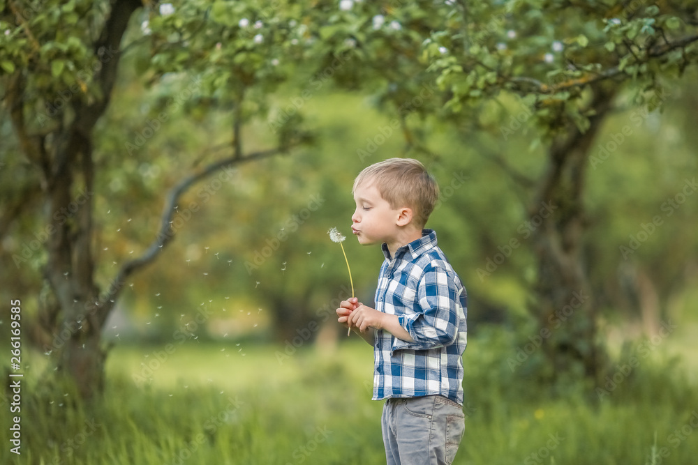 A Laughing kids brother and sister playing in a forest A Laughing kids brother and sister playing in a forest