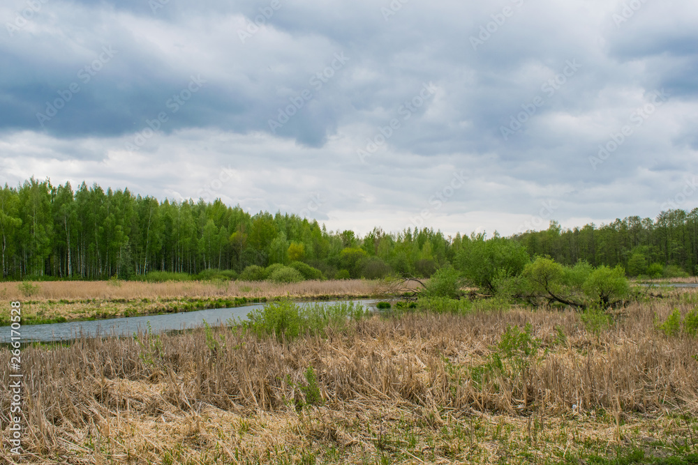 Fototapeta premium spring landscape river forest trees against a blue sky