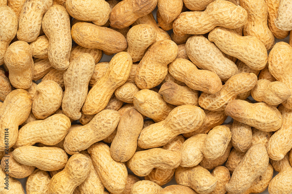 Raw peanuts in a shell texture. Food background of peanuts. Raw peanuts in a shell texture. Food background of peanuts.