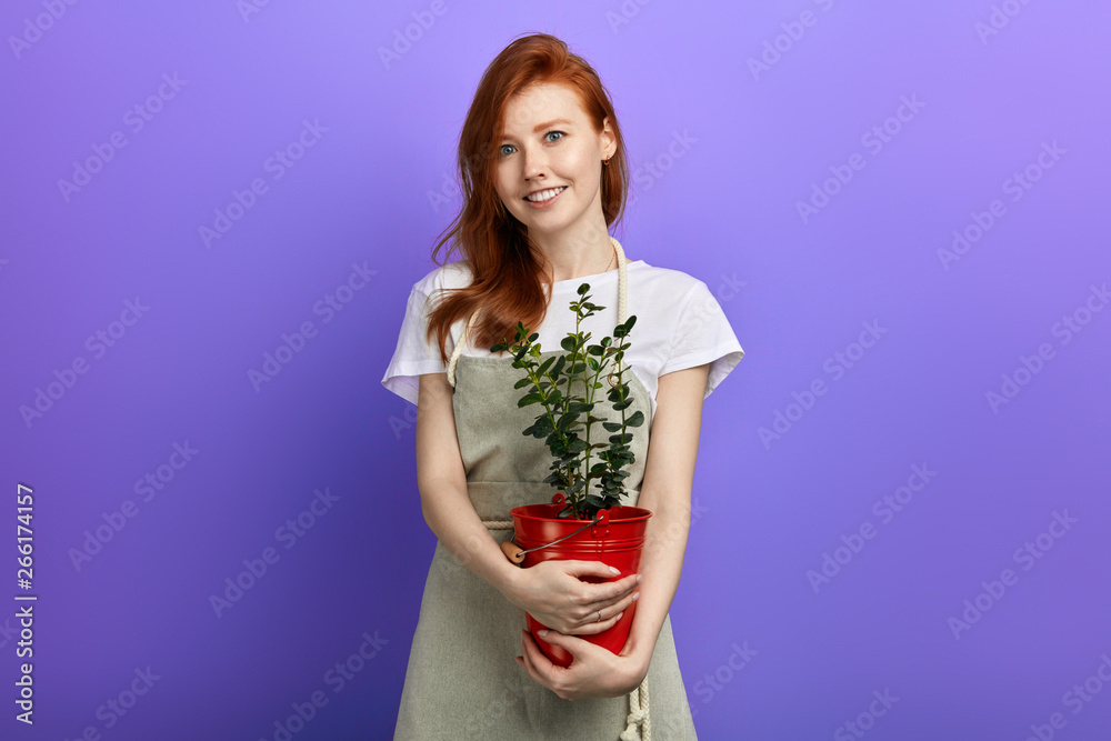 Beautiful young smiling red-haired woman holding a pot of flower. close up photo. flowers care, garderning Beautiful young smiling red-haired woman holding a pot of flower. close up photo. flowers care, garderning