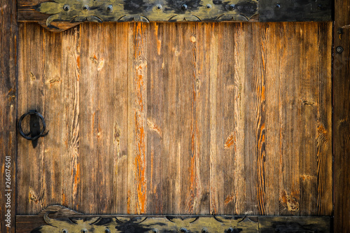 stylish beautiful old gate in the nature park photo