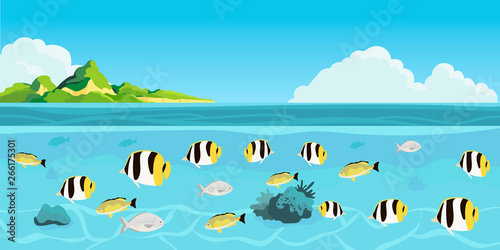 A beautiful tropic island and  an underwater view on a sea life. Creative banner, flyer, blog post, card or landing page for a travel agency or tour operator. Summer theme background or wallpaper.