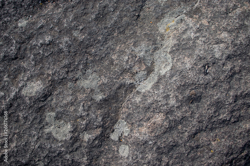 stones photographed close-up, spring beautiful gray texture