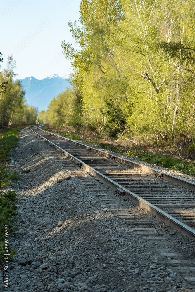 Fototapeta premium single railroad track pass through forest with green trees on both sides and mountain range on the background
