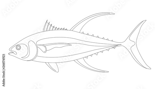 tuna fish, vector illustration,lining draw ,profile