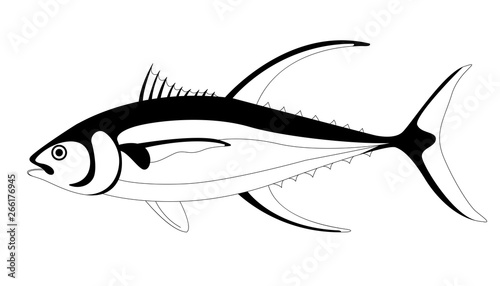 tuna fish  vector illustration lining draw