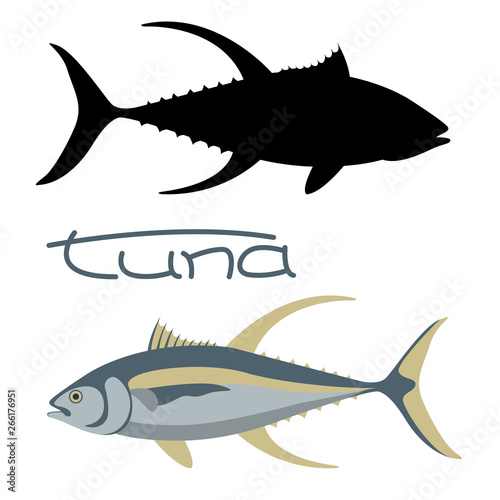 tuna fish, vector illustration,flat style