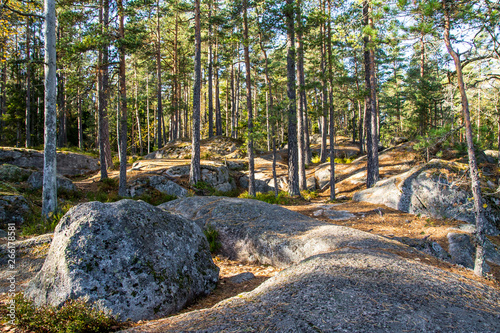 Rocky forest terrain Nuuksio National Park in Finland