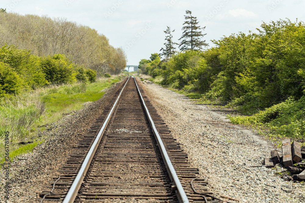 Fototapeta premium a railroad tracking lead to the far side with green trees and bushes on both sides under overcast sky