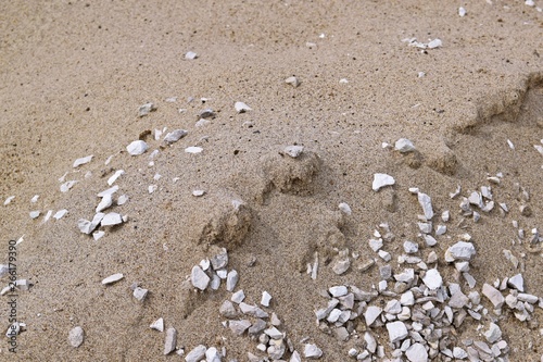 Sand and rubble.Materials for construction.