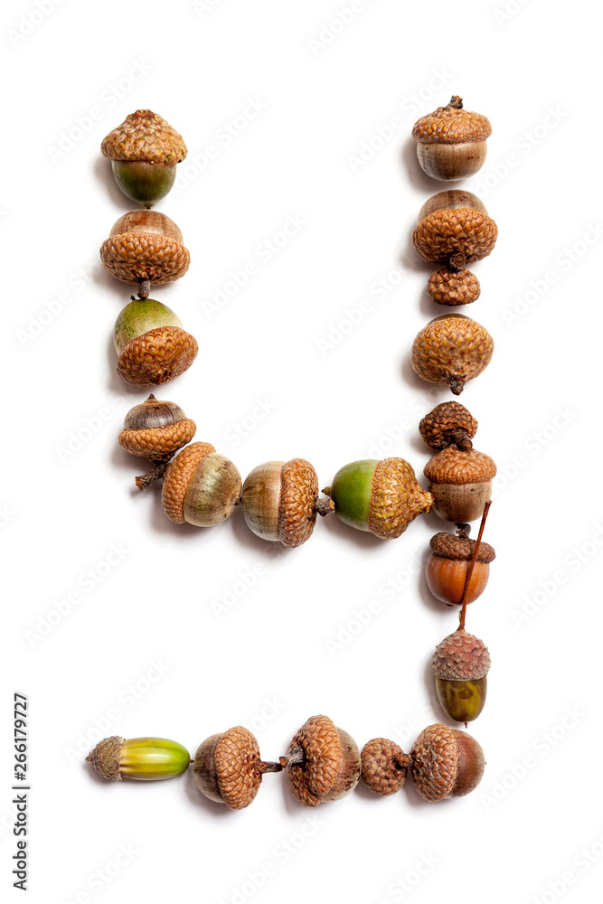 Autumn alphabet. Letter is laid out of acorns