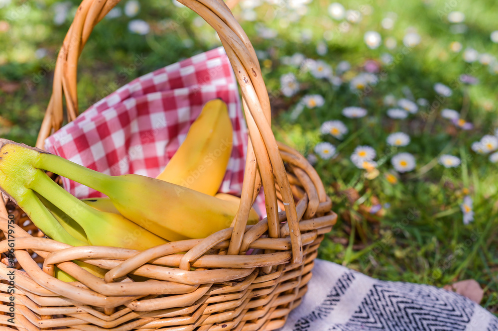 Obraz premium Basket with picnic food in the park. Green grass with flowers and lunch outdoors.