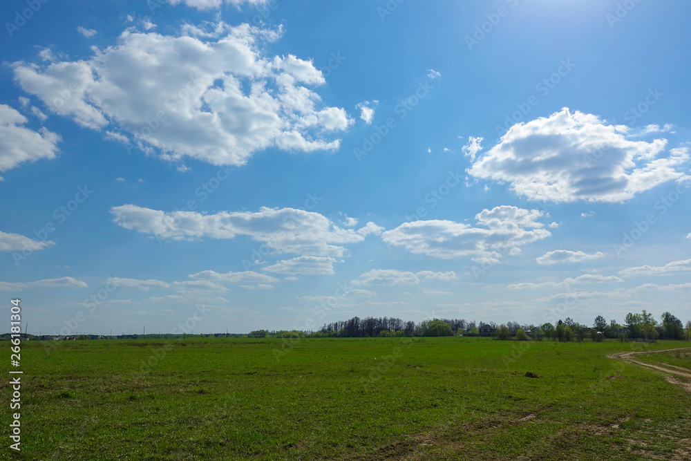 Green field and blue sky with clouds. Beautiful landscape. Green field and blue sky with clouds. Beautiful landscape.