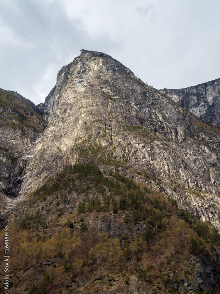 Hill along the fjord in Norway