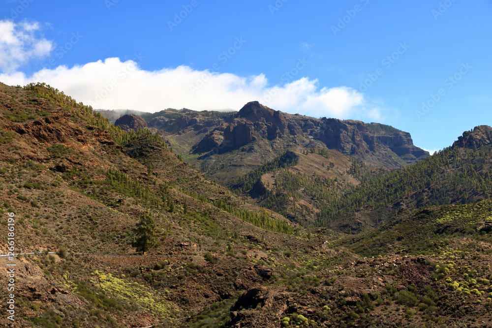 The green valley Barranco de Mogan on Gran Canaria