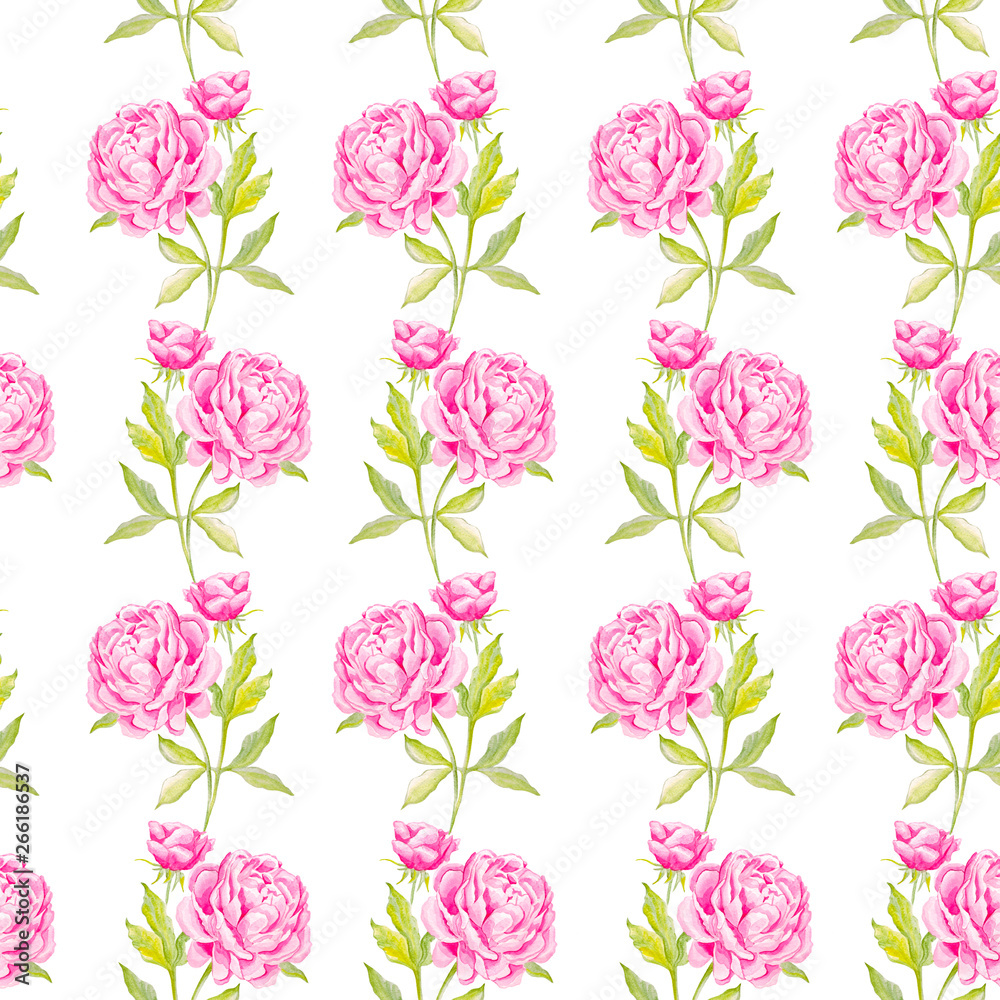 Garden peony. Seamless, hand-painted, watercolor pattern. Vector background