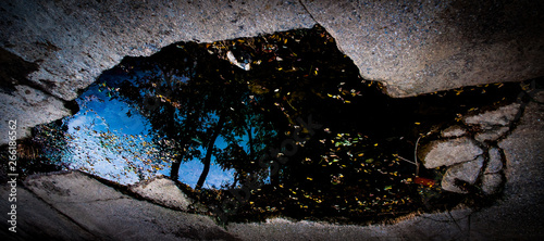 Fényképezés riflesso di alberi in acqua