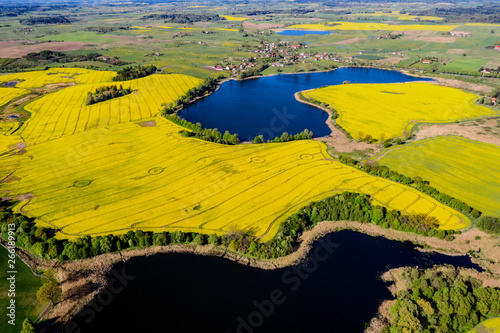 flowering of rapeseed in Warmian-Masurian Voivodeship photo