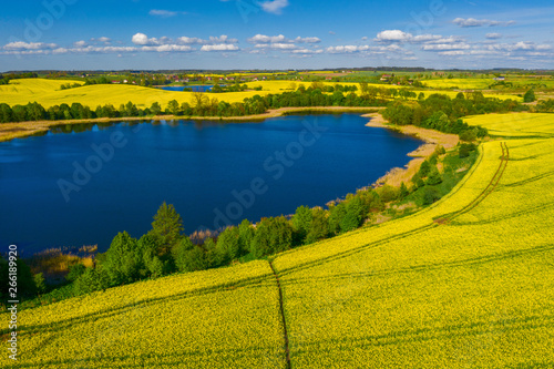 flowering of rapeseed in Warmian-Masurian Voivodeship