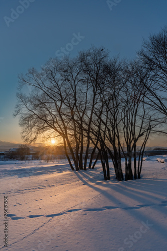 Sunset on snow and tree © Prism6 Production