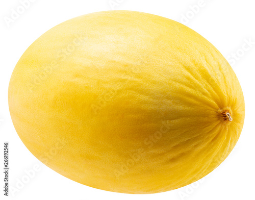 melon isolated on a white background