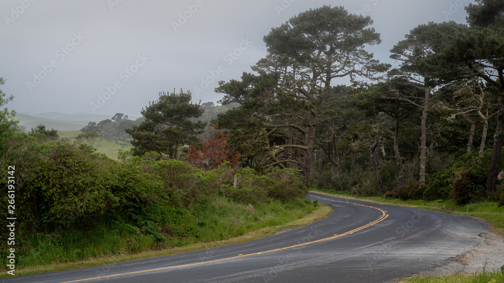 Pierce Point Road in Point Reyes National seashore in Point Reyes National Seashore, California, USA