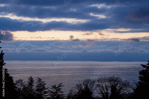 Sky and sea in blue after sunset, framed by silhouettes of trees