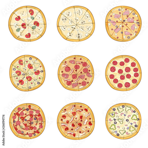 Set of pizzas with various fillings. Vector illustration.