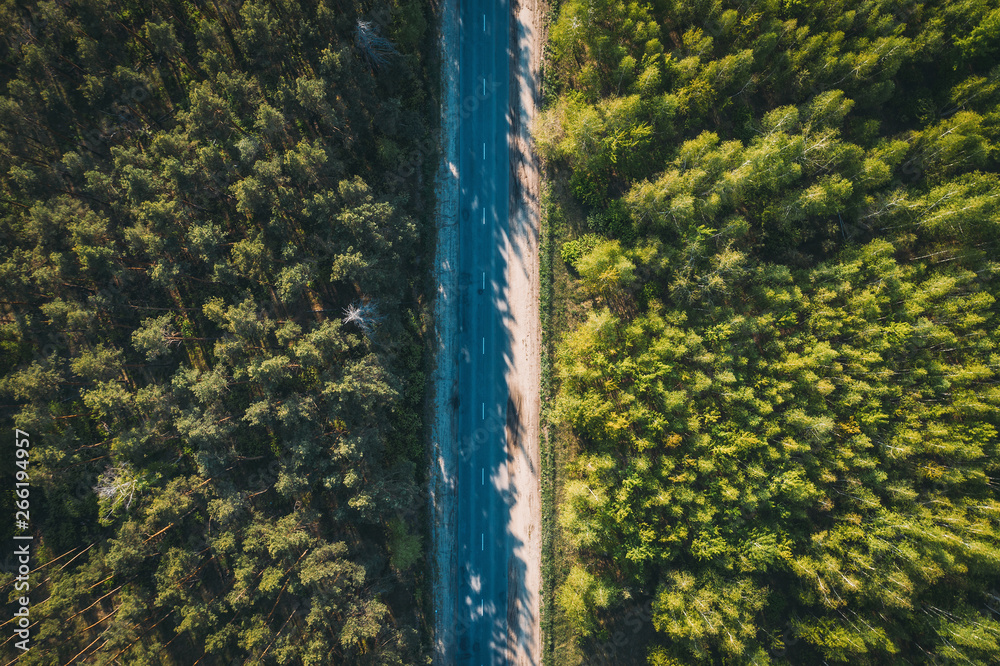 Fototapeta premium Aerial top view of asphalt road between green summer forest at sunny summer day