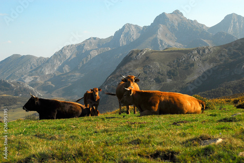 Naturaleza y paisajes de la provincia de León