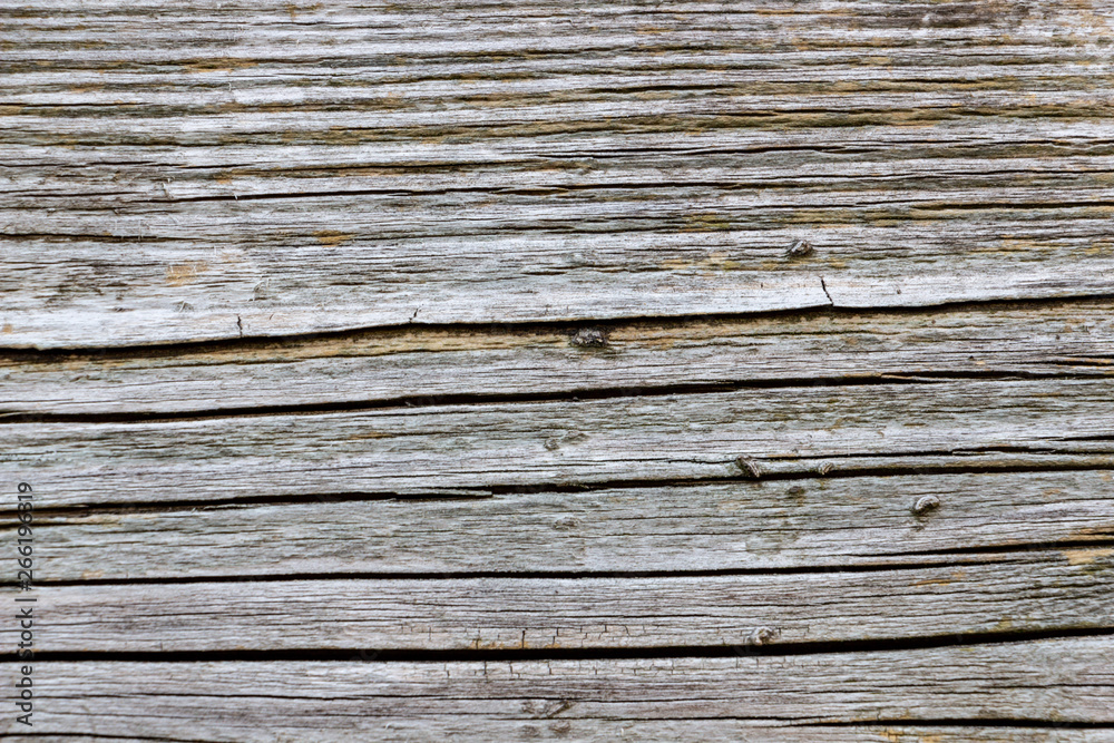 Fototapeta premium Wood texture