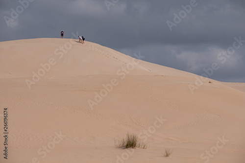 People at the top of the dunes at the Alexandria coastal dune fields near Addo   Colchester on the Sunshine Coast in South Africa. 