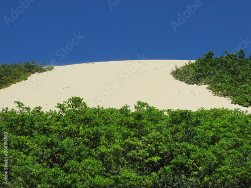 Natural Park of the Dunes of Sabiaguaba photo