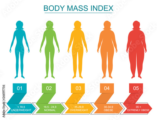 Cartoon Body Mass Index Infographics Concept Card Poster. Vector