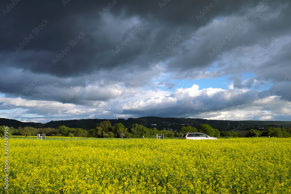 Rapsfelder und starke Bewölkung mit Regenwolken Ende April - Stockfoto