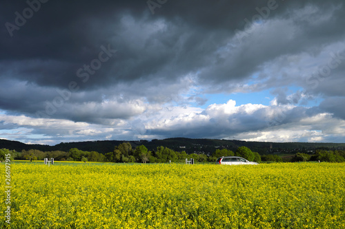Rapsfelder und starke Bew  lkung mit Regenwolken Ende April - Stockfoto