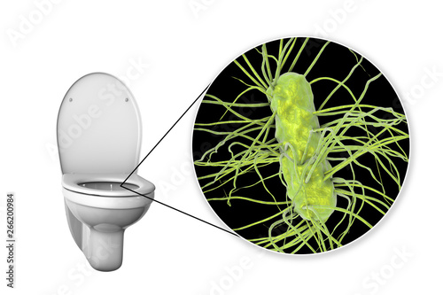 Toilet microbes, conceptual 3D illustration. Transmission of diarrheal infections. Closeup view of bacteria transmitted by fecal-oral mechanism, such as Escherichia coli, Salmonella, Shigella and photo