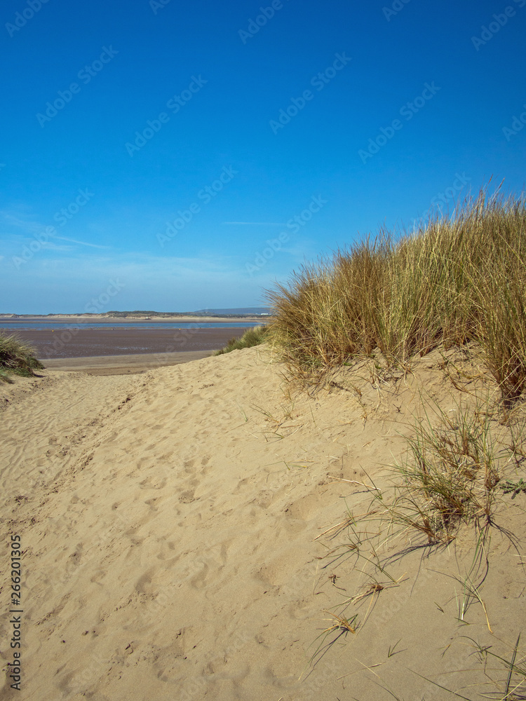 The beautiful sand dunes of Instow beach in North Devon , England The beautiful sand dunes of Instow beach in North Devon , England