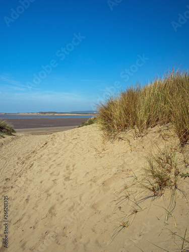 The beautiful sand dunes of Instow beach in North Devon , England