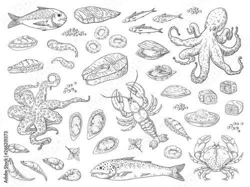 Hand drawn seafood. Octopus squid crab oyster and marine fish sketch drawing for restaurant menu. Vector sea meal engravements