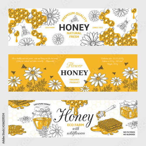 Honey labels. Honeycomb and bees vintage sketch background, hand drawn organic food retro design. Vector sweet nature organic honey graphic banners set