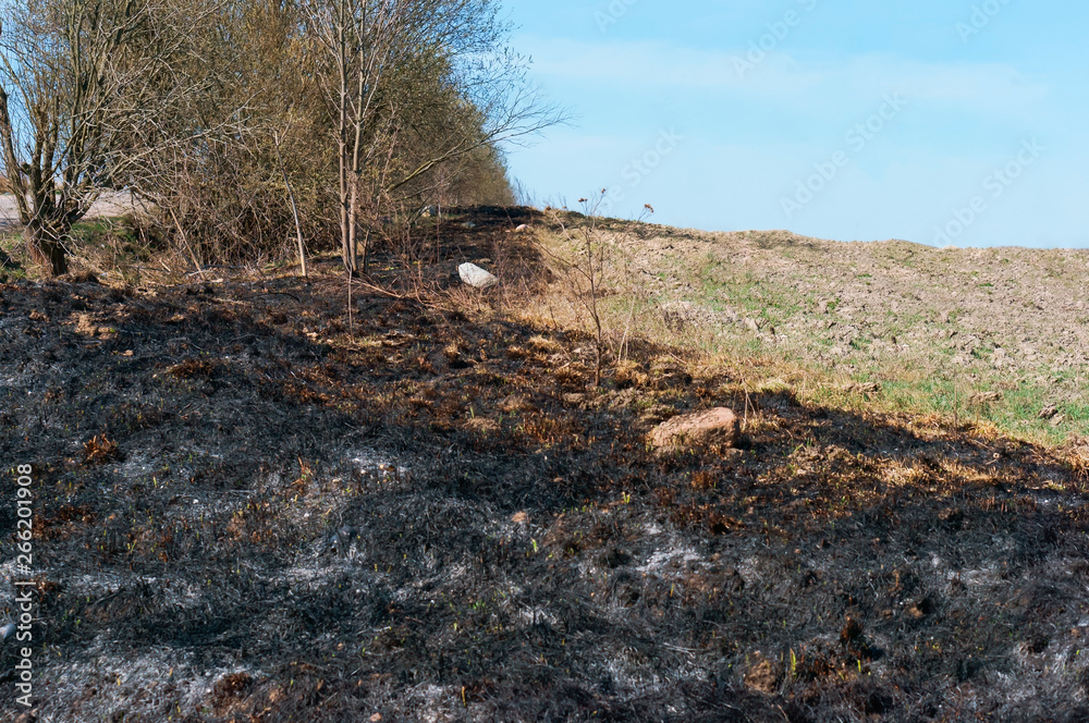 Burning last year's field grass. Burning grass in the field. Burning last year's field grass. Burning grass in the field.