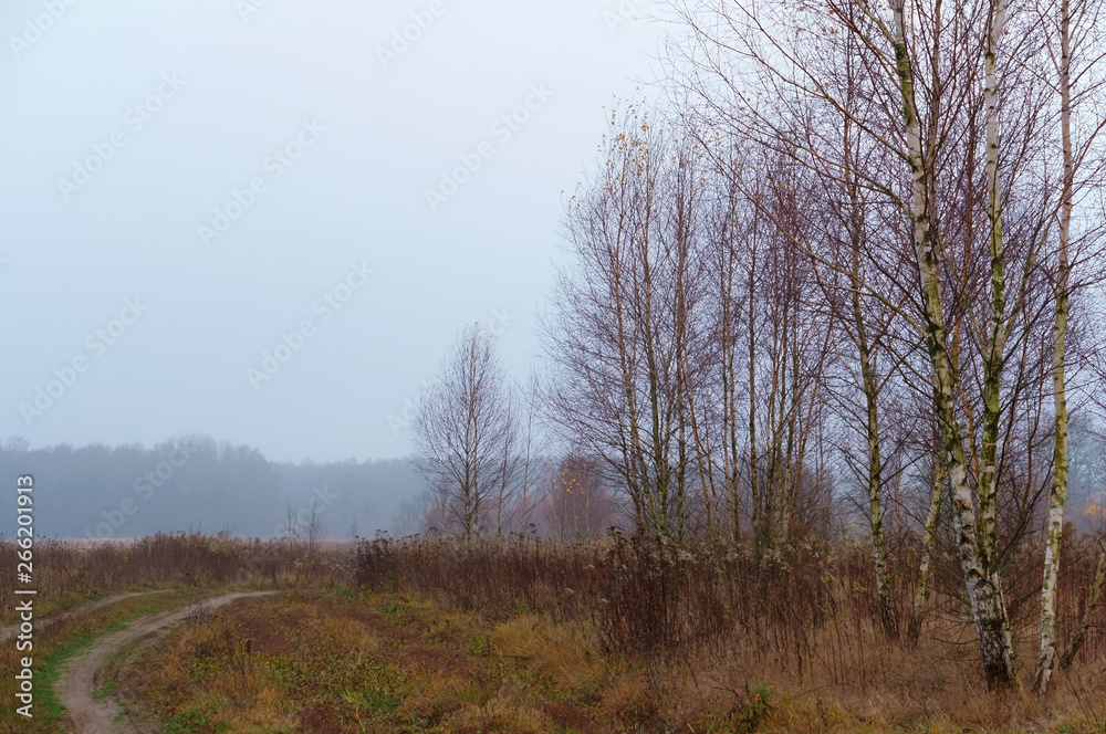 Early autumn in the country. Misty morning in the field. Early autumn in the country. Misty morning in the field.