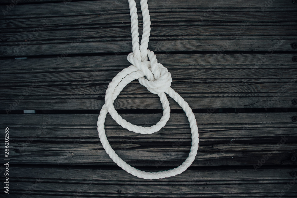 Obraz premium Bowline on a bight knot