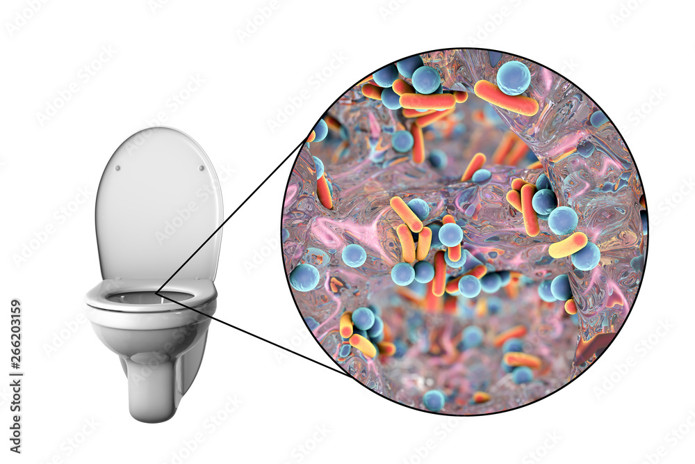 Toilet microbes, conceptual 3D illustration. Transmission of diarrheal